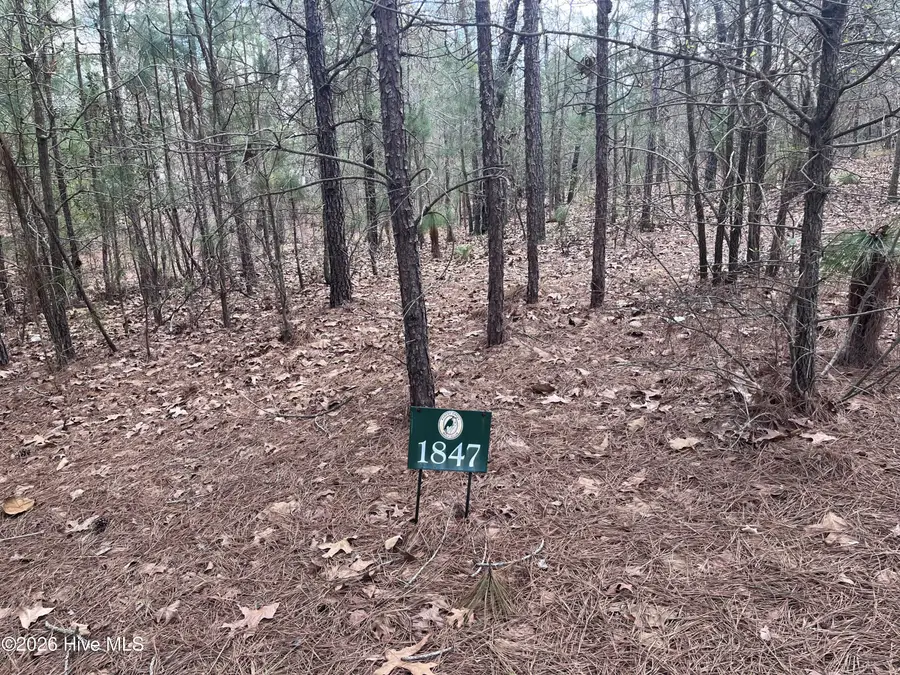 29 Ridgeland Street, Pinehurst, NC 28374 - #2