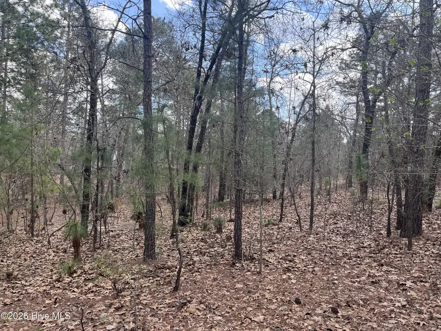 29 Ridgeland Street, Pinehurst, NC 28374 - #3