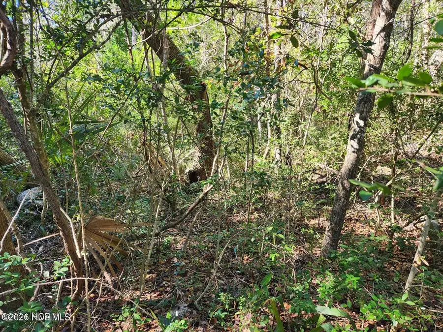 52 Fort Holmes Trail, Bald Head Island, NC 28461 - #3