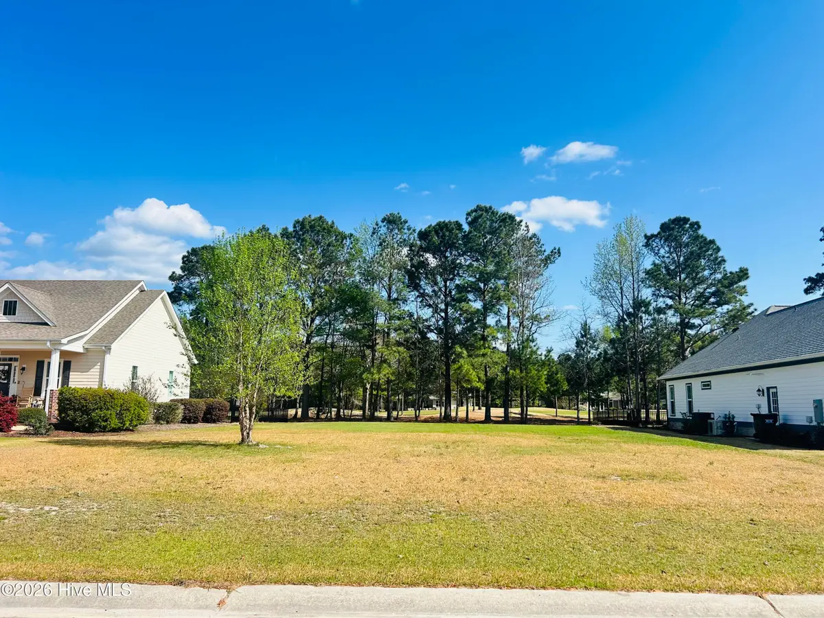 132 Falls Landing Way, Wallace, NC 28466 - #1