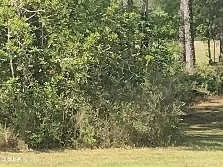 1731 Caracara Drive, New Bern, NC 28560 - #2