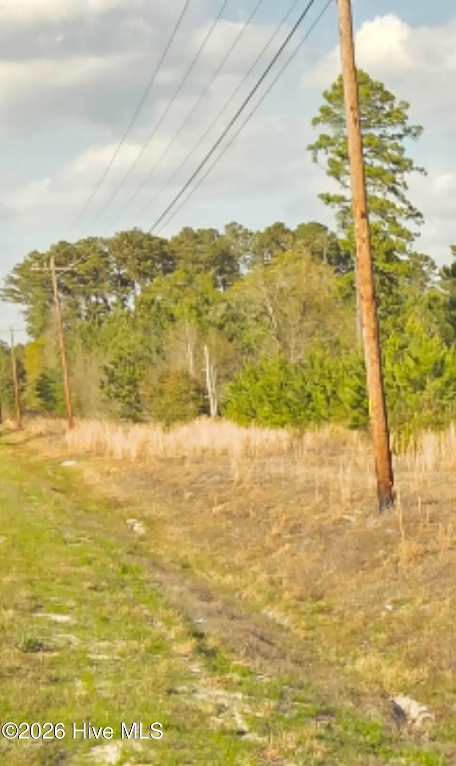 Near 731 Macedonia Church Road, Evergreen, NC 28438 - #3