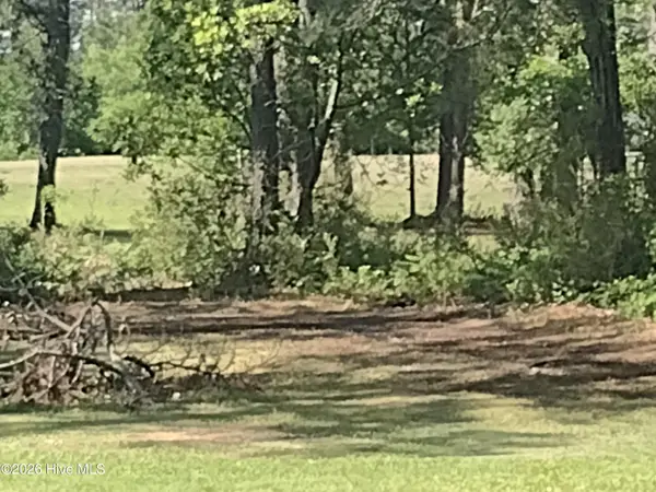 1733 Caracara Drive, New Bern, NC 28560