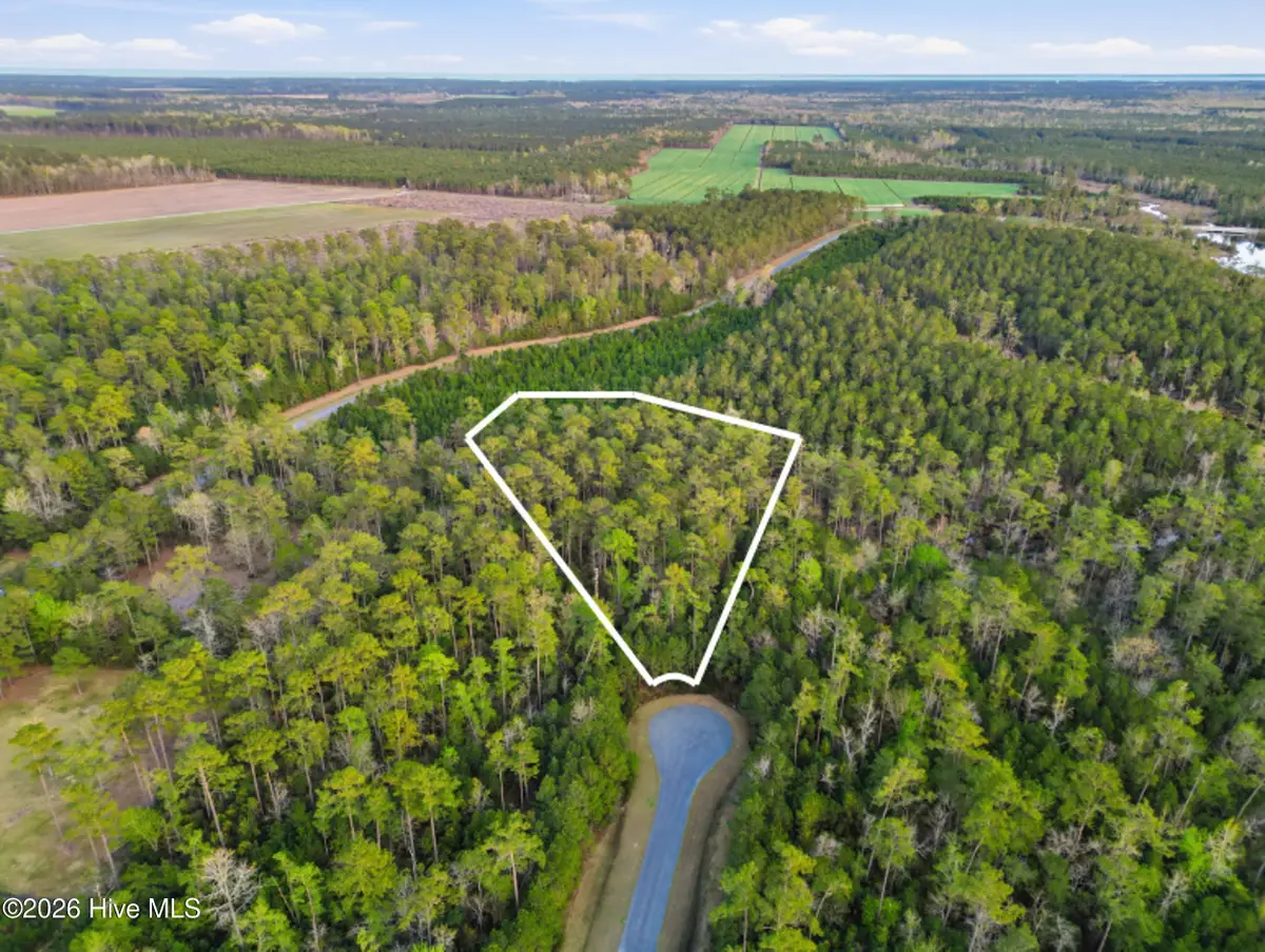 121 Mason Lane, Merritt, NC 28556 - #1