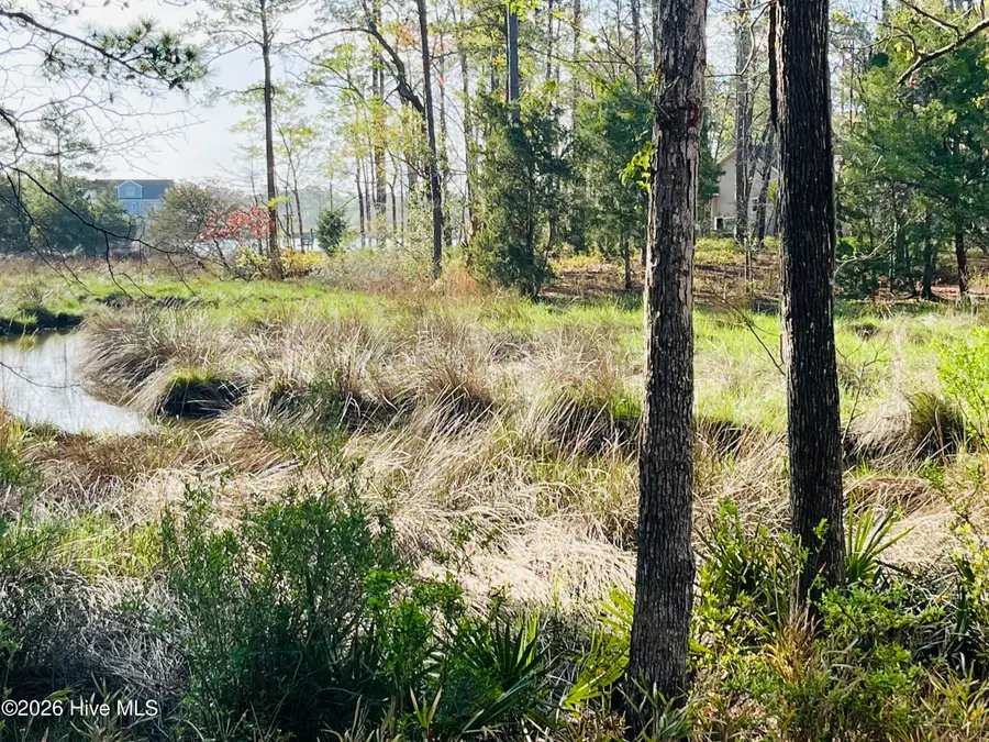 256 Winding Creek Drive, Oriental, NC 28571 - #2