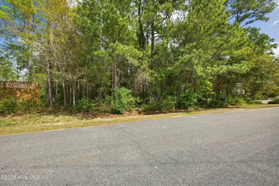 133 Live Oak Drive, Leland, NC 28451 - #2