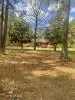 1311 Bill Town Road, Rose Hill, NC 28458 - #2