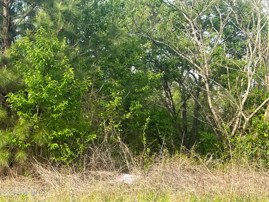 6 Jenkins Street, Tarboro, NC 27886 - #3