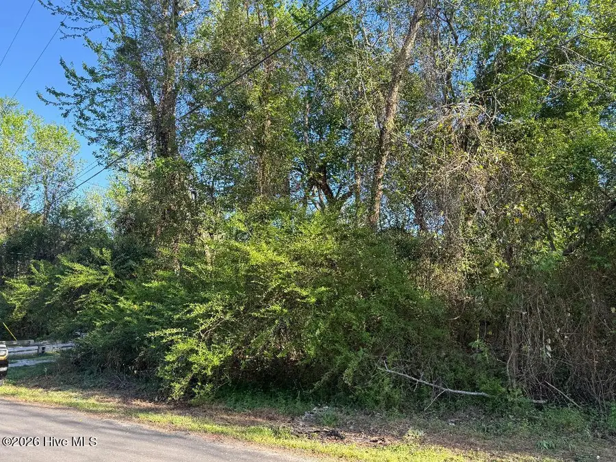 2509 New Bern Avenue, New Bern, NC 28560 - #3