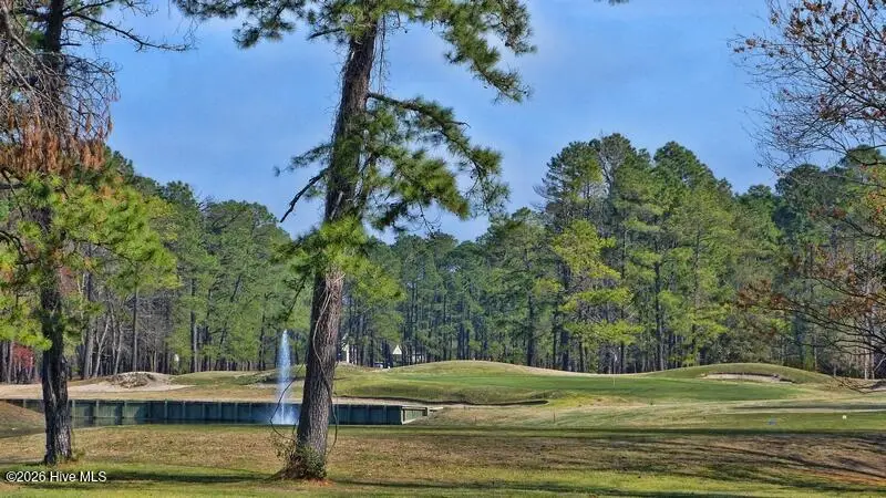 901 Bee Tree Court, New Bern, NC 28560 - #2