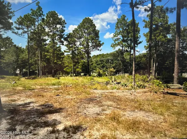 000 Wiregrass Road, Hamlet, NC 28345