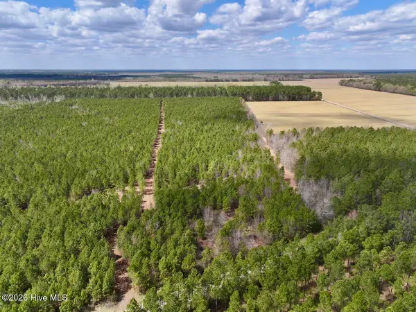 0 Guinea Mill Road Road, Ernul, NC 28527