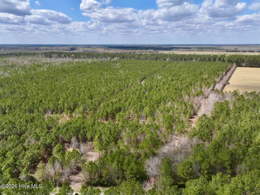 0 Guinea Mill Road Road, Ernul, NC 28527 - #2