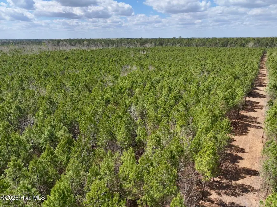 0 Guinea Mill Road, Ernul, NC 28527 - #3