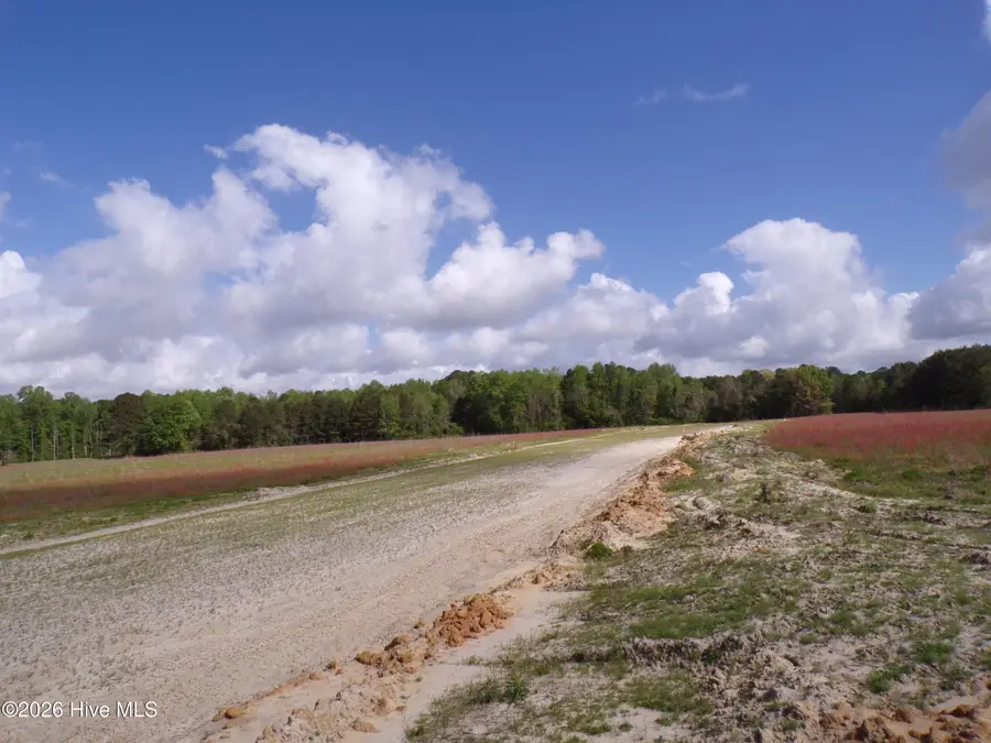 Near 158 Old Wilmington Road, Whiteville, NC 28472 - #3