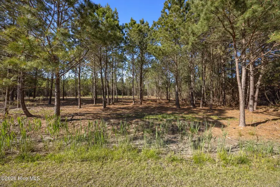 11 E Diamond Shoal Lane, Vandemere, NC 28587 - #3