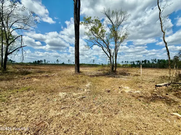 Tbd Old Lowery Rd, Red Springs, NC 28377