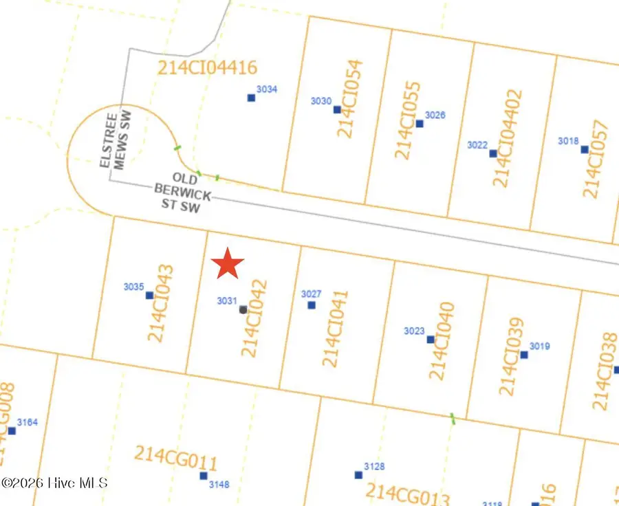 3031 Old Berwick Street Sw, Shallotte, NC 28470 - #2