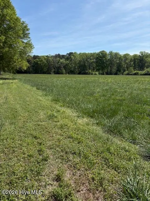 Tract 1 Leon Road, Nashville, NC 27856 - #3