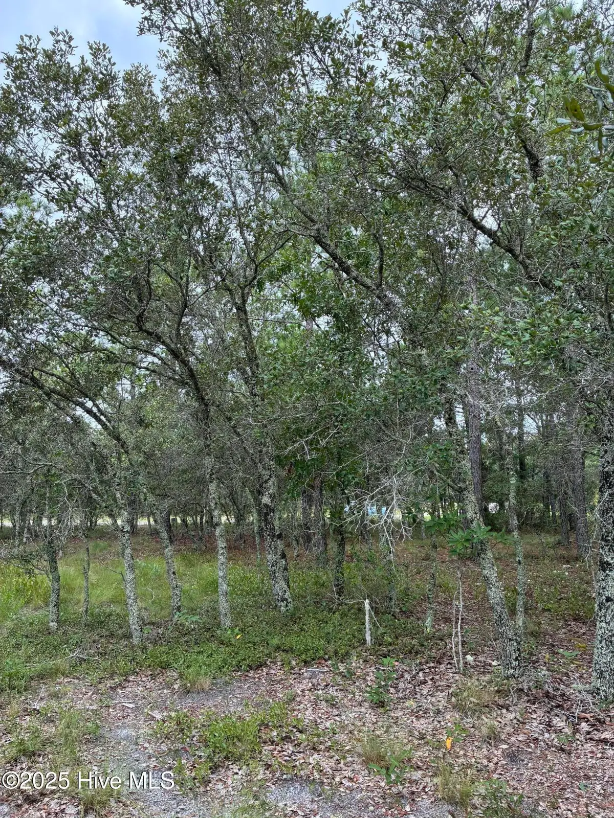 3040 Valderama Way Se, Bolivia, NC 28422 - #1