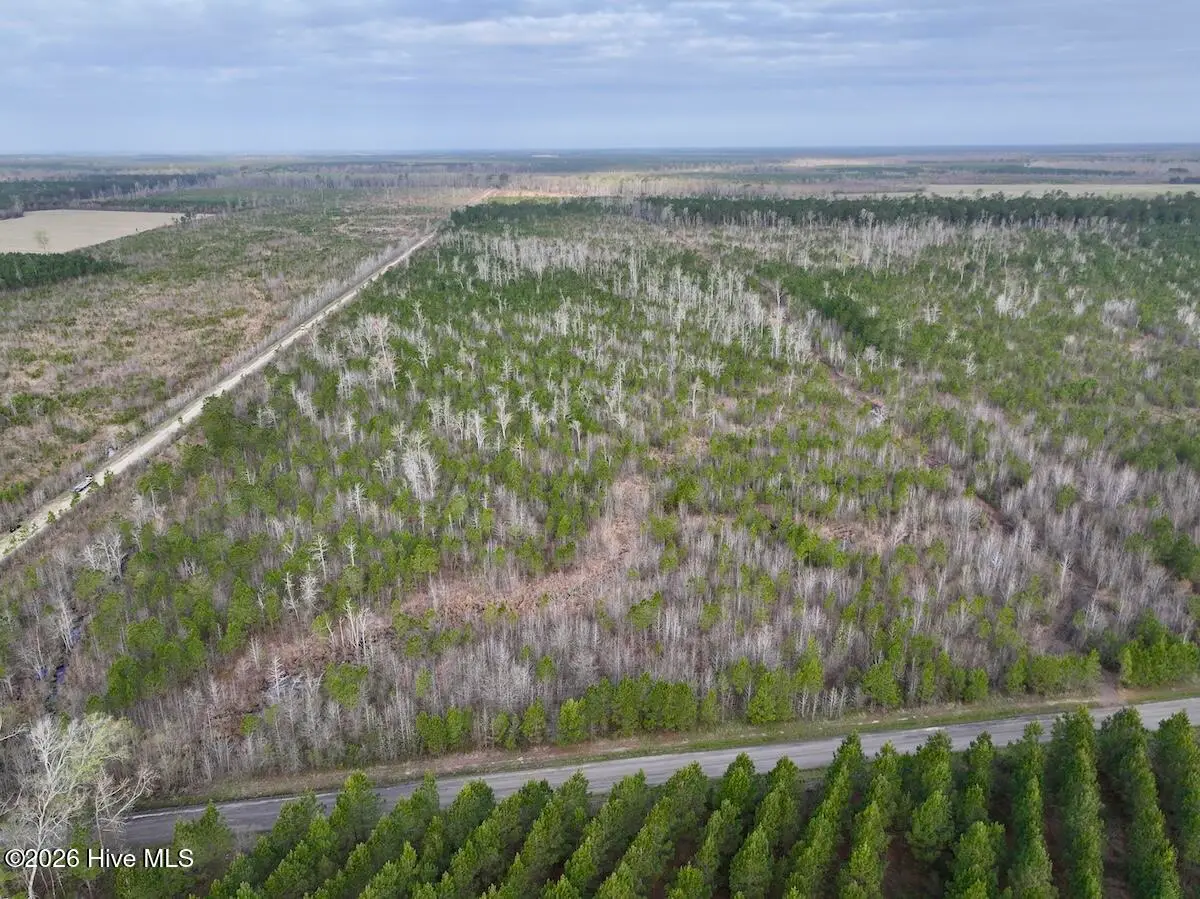 0 Guinea Mill Road, Ernul, NC 28527 - #1