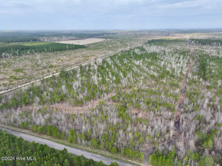 0 Guinea Mill Road, Ernul, NC 28527 - #3