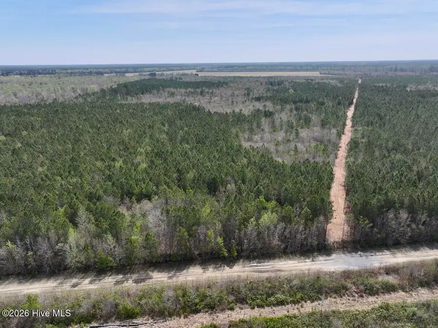 0 Guinea Mill Road, Ernul, NC 28527 - #2