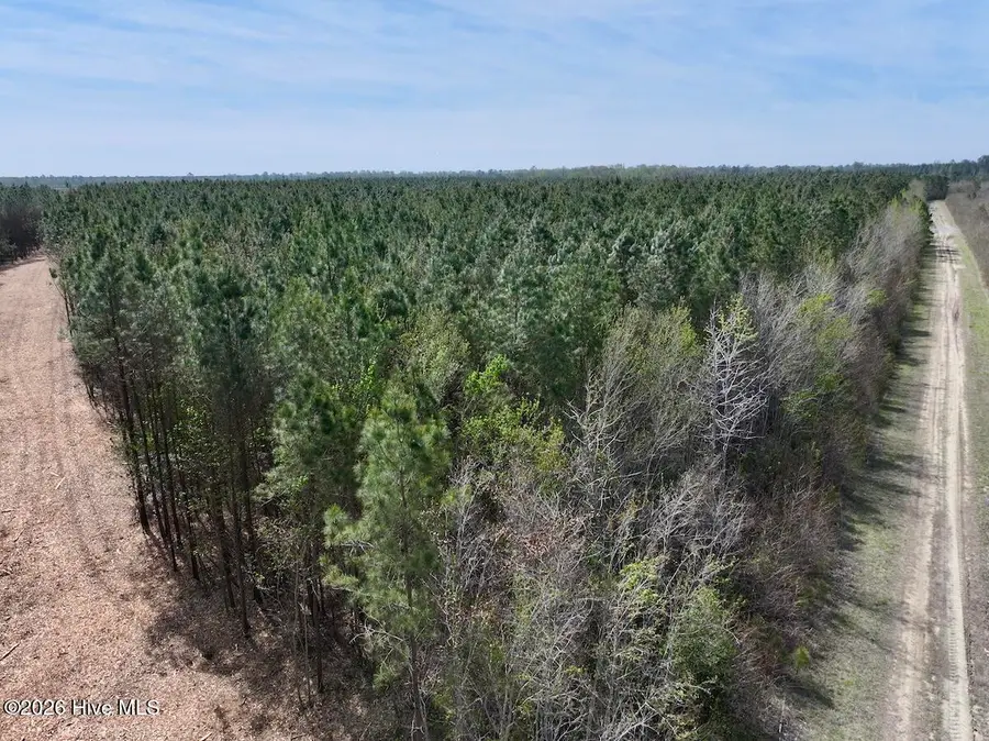 0 Guinea Mill Road, Ernul, NC 28527 - #3