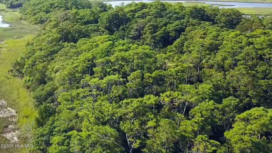 87 Cape Creek Road, Bald Head Island, NC 28461 - #2