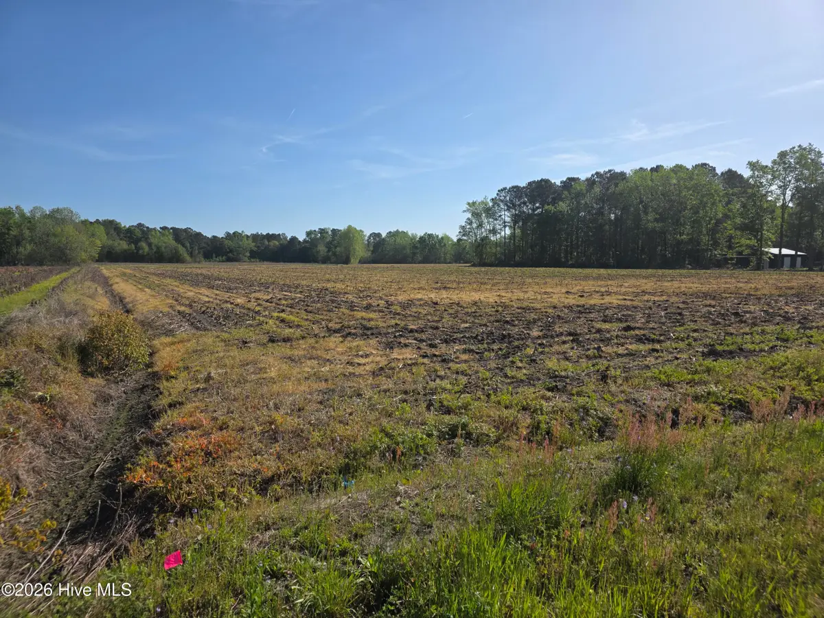 3917 Gaddy Road, Fairmont, NC 28340 - #1