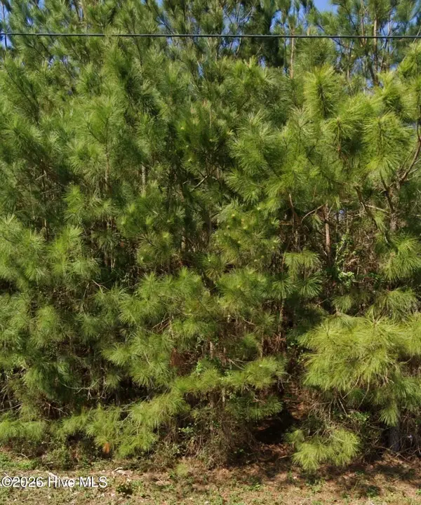 111 Windsor Lane, Edenton, NC 27932