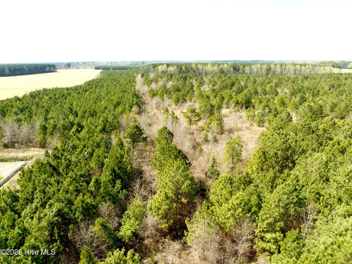 0 Black Mingle Road, Gates, NC 27937 - #1