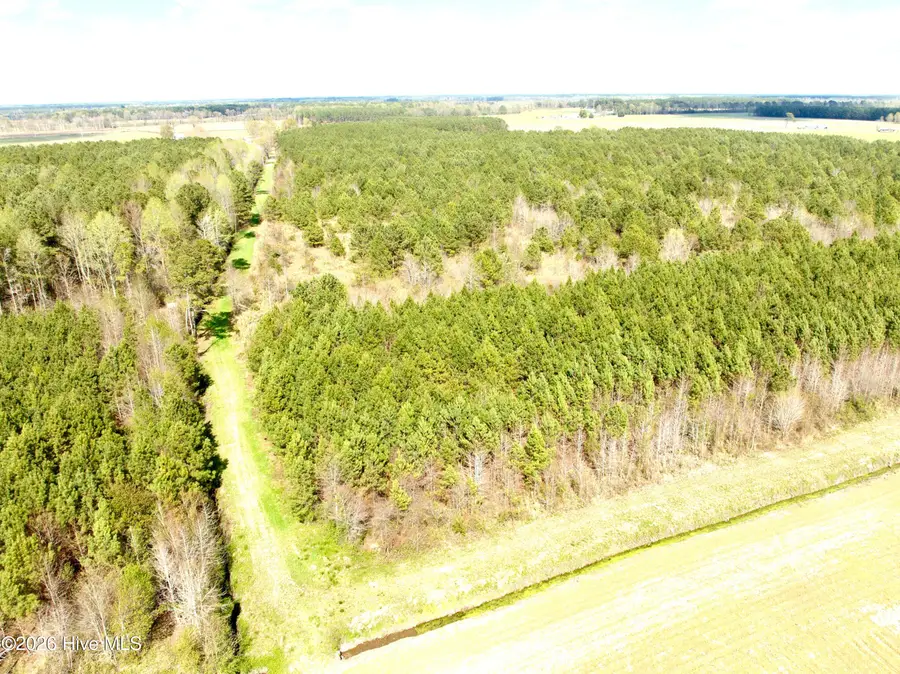 0 Black Mingle Road, Gates, NC 27937 - #2