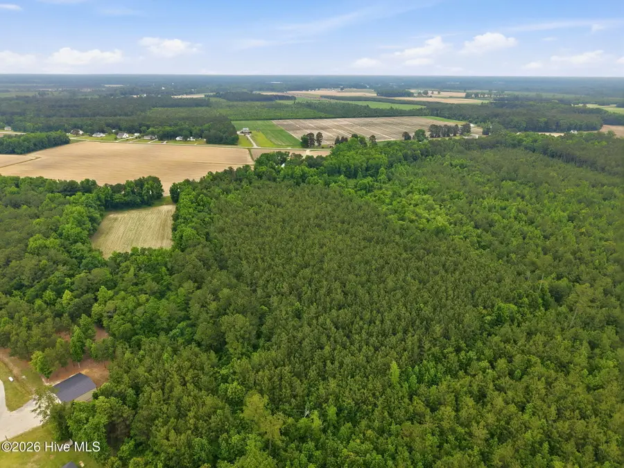 0 Off Gay Road, Walstonburg, NC 27888 - #3