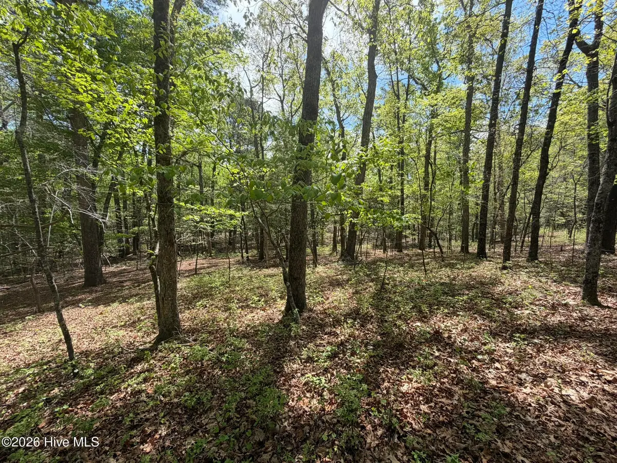 1014r Cedar Lane, Seven Lakes, NC 27376 - #1