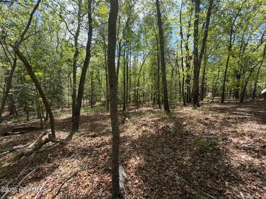 1014r Cedar Lane, Seven Lakes, NC 27376 - #2