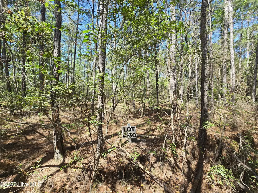 Lot A-30 Renee Drive, Hampstead, NC 28443 - #2