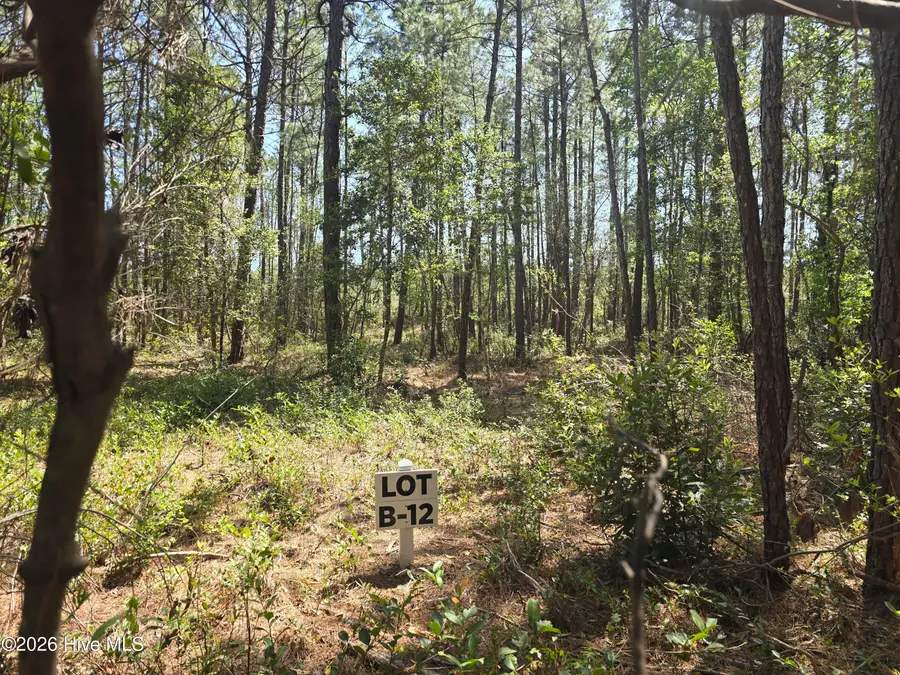 Lot B-12 Renee Drive, Hampstead, NC 28443 - #2