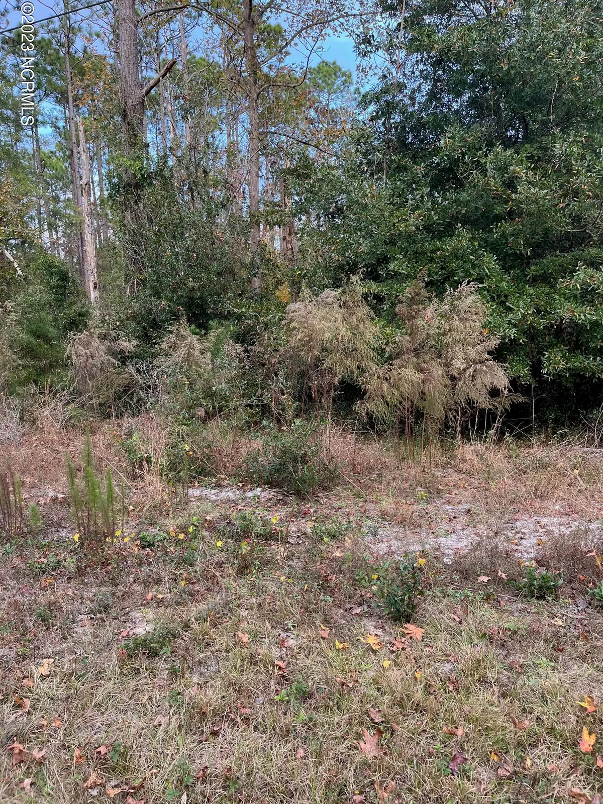 230 Redwood Road, Southport, NC 28461 - #1
