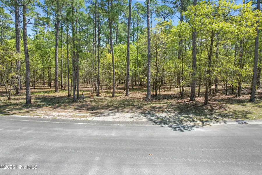 684 Madeira Islands Drive Se, Bolivia, NC 28422 - #2