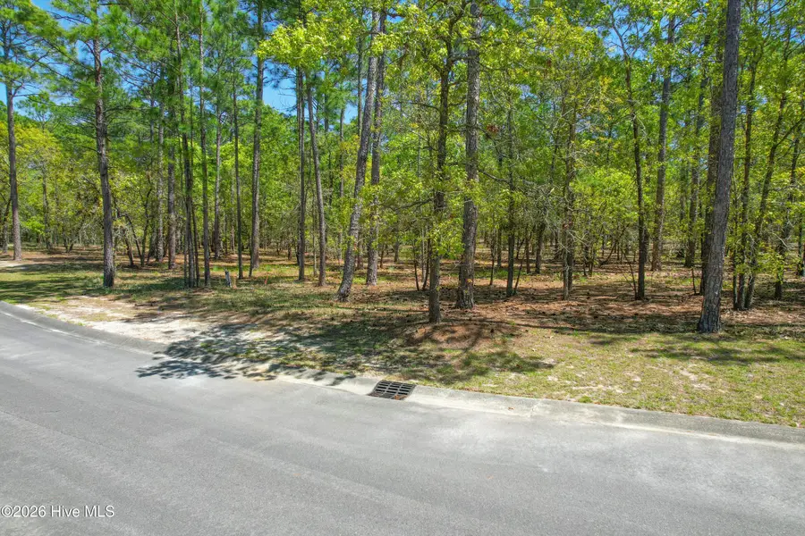 684 Madeira Islands Drive Se, Bolivia, NC 28422 - #3