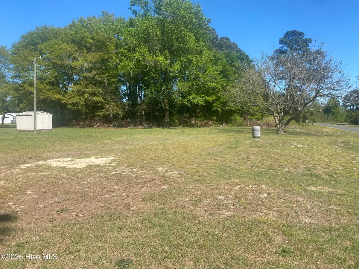 145 Alum Springs Road, Mount Olive, NC 28365 - #1