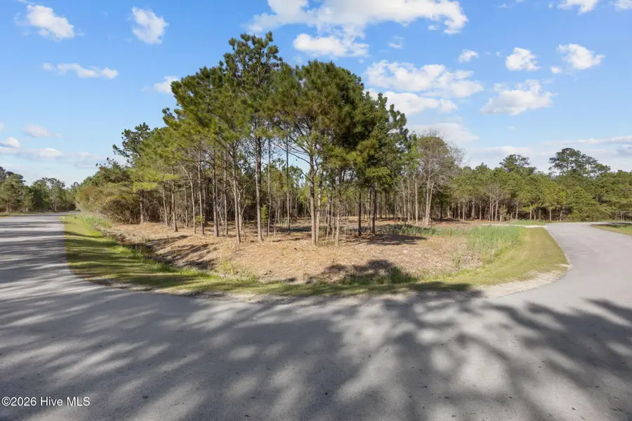 699 Vandemere Creek Drive, Vandemere, NC 28587 - #3