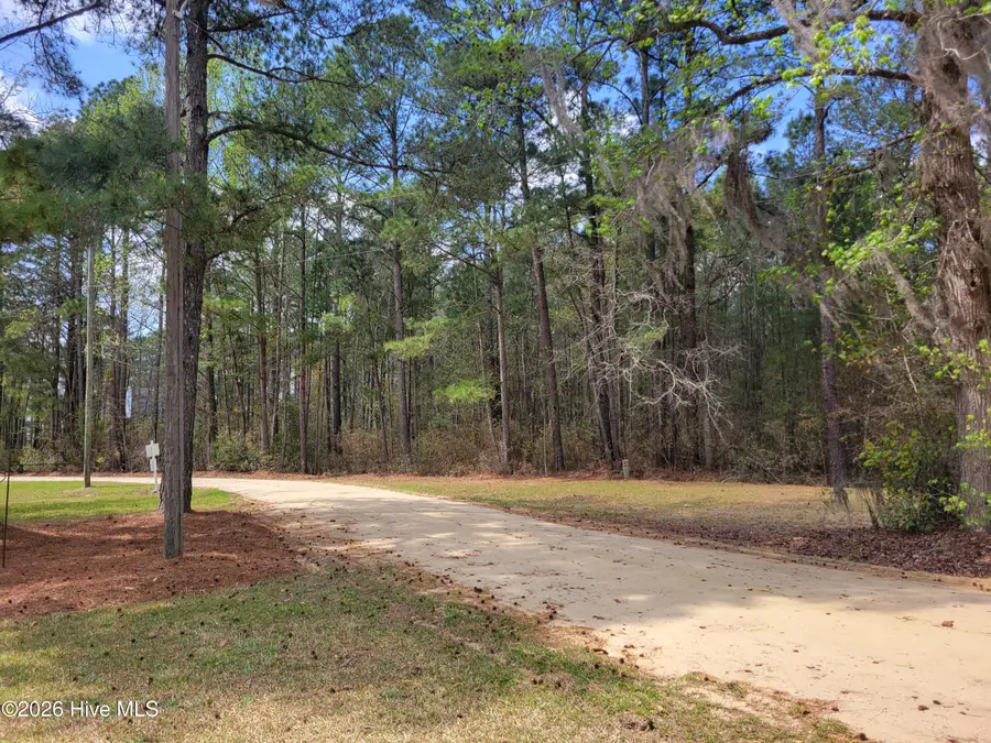 78 Woodlief Drive, White Lake, NC 28337 - #2
