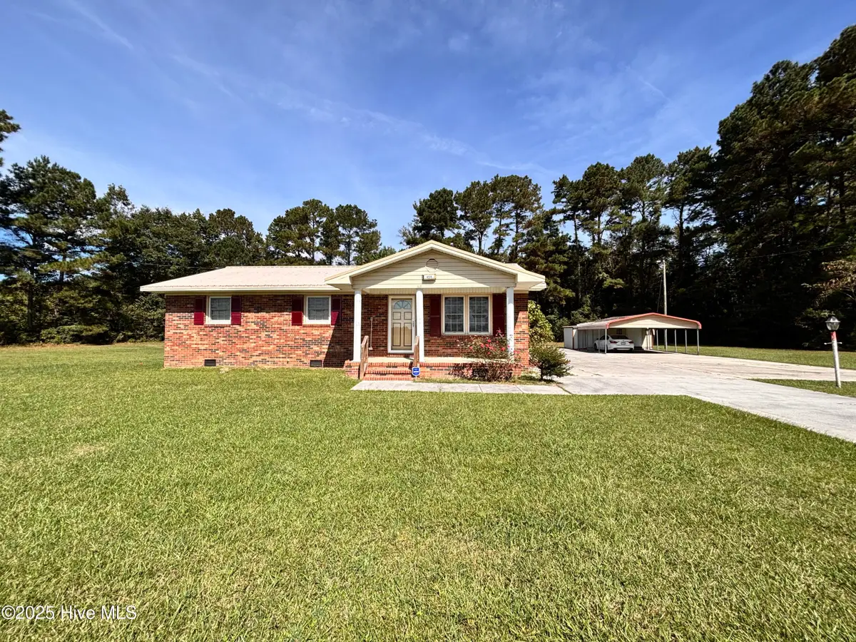 454 Buckhorn Road, Willard, NC 28478 - #1