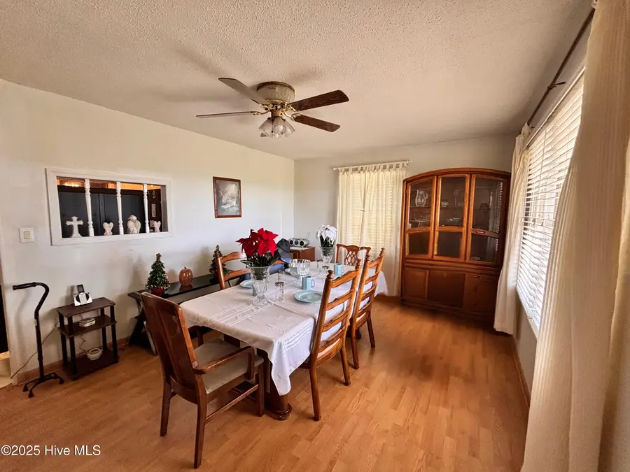 454 Buckhorn Road, Willard, NC 28478 - #2