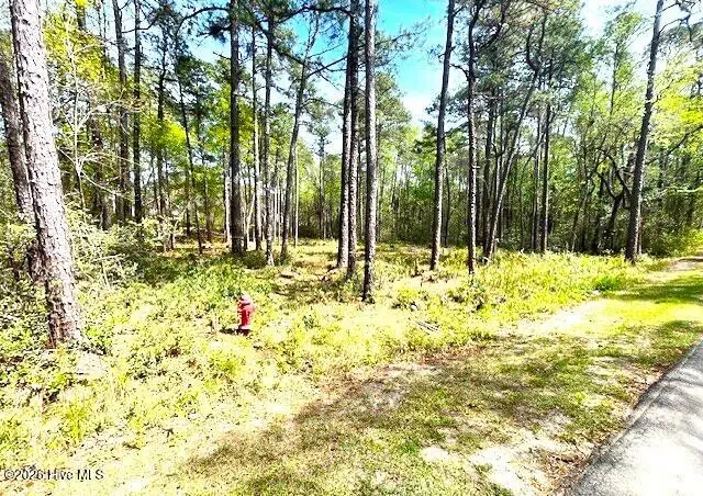 14 Bedford Circle, Pinehurst, NC 28374 - #1