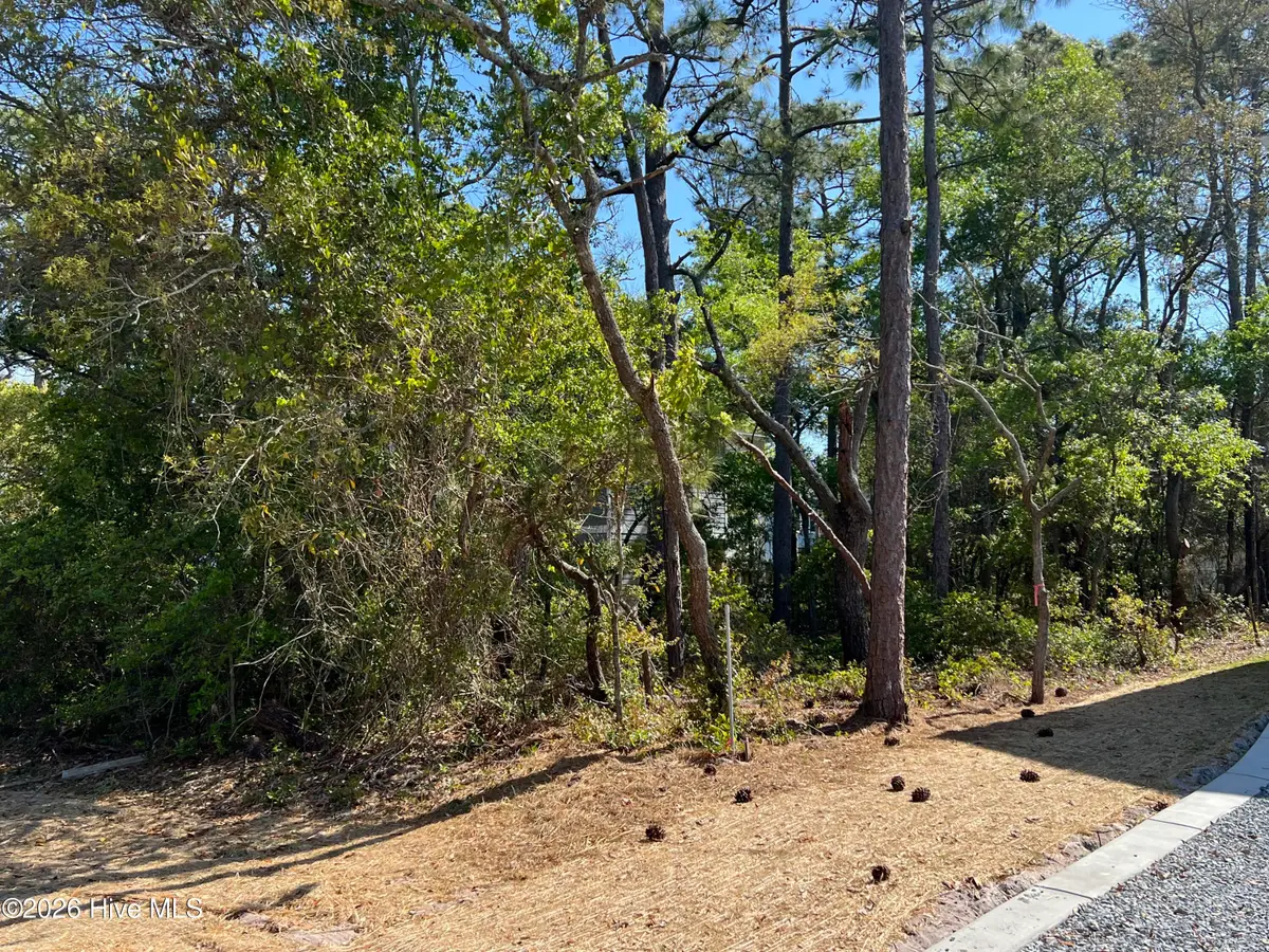 306 NE 41st Street, Oak Island, NC 28465 - #1