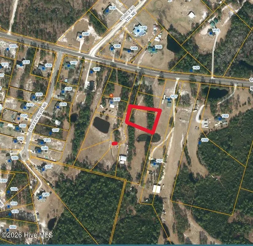 317 The Cove Lane Ne, Leland, NC 28451 - #1