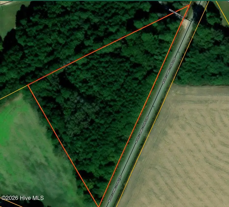 Lot 2 Mt Carmel Church Road, Autryville, NC 28318 - #1